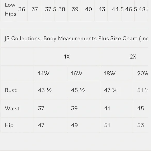 NWT JS Collection Scallop V Neck Embroidered Mesh Gown Size 16W - Picture 7 of 10